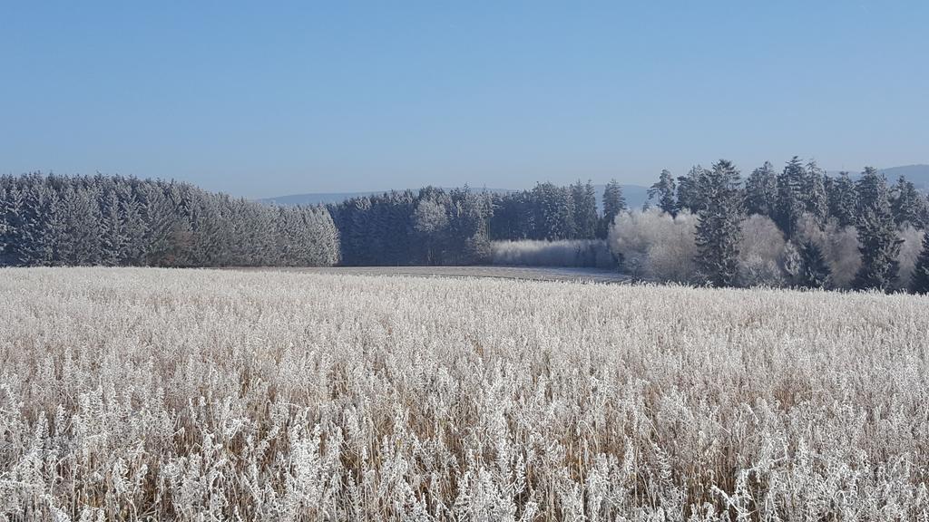 Pension Hofer Bad Berneck im Fichtelgebirge Dış mekan fotoğraf